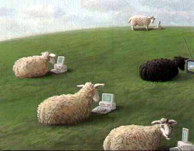 beeeeeee...............