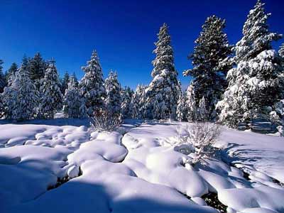 Snow valley