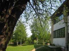 Osnovna skola Milica Milosevic